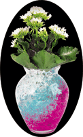 Vase mit drei verschieden farben magic_cristal